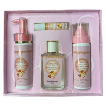 بوكس تشيز كيك 4 قطع + شنطه هدايا