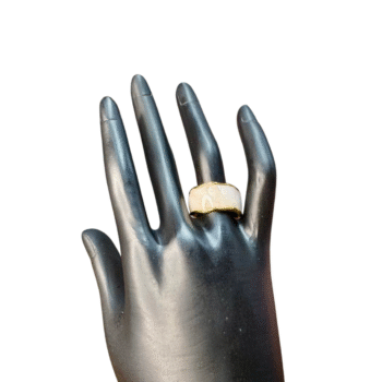 خاتم استانلس بيور ألوان