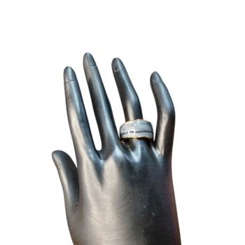 خاتم استانلس بيور ألوان