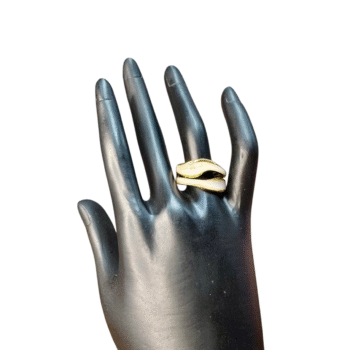 خاتم استانلس بيور ألوان