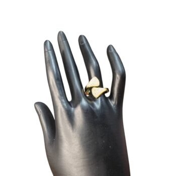 خاتم استانلس بيور ألوان