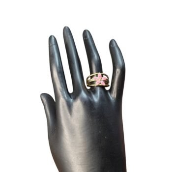 خاتم استانلس بيور ألوان