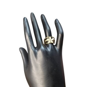 خاتم استانلس بيور ألوان