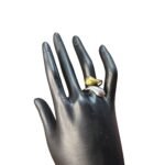 خاتم استانلس بيور ميكس دهبى وفضى